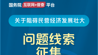 十大免费看的操逼网站国务院“互联网+督查”平台公开征集阻碍民营经济发展壮大问题线索